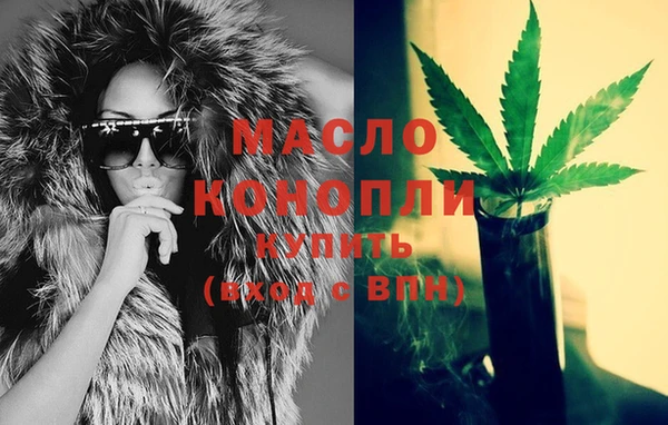 соль ск Инсар