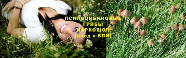 спиды Алексин