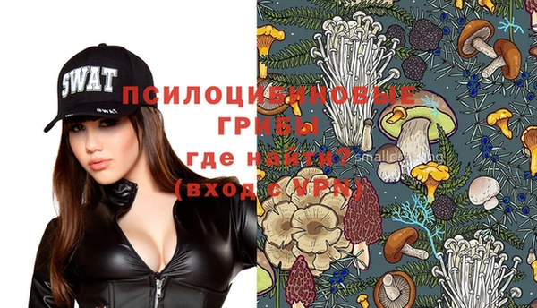 прущая мука Алзамай