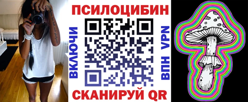 купить наркотики цена  Тамбов  Псилоцибиновые грибы GOLDEN TEACHER 